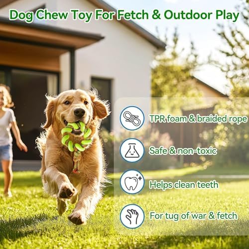 ALL FOR PAWS 6.1" Dog Ring Toy, Flying Ring for Fetch, Training & Outdoor Play, TPR Foam & Rope Dog Toy for Throwing, Catching, Tug Toys for Small, Medium & Large Dogs