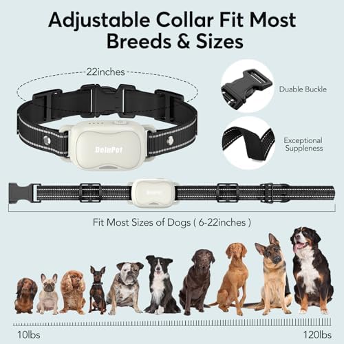 Shock Collar for 2 Dogs with Remote- 4500FT Dual-Direct Training Collars