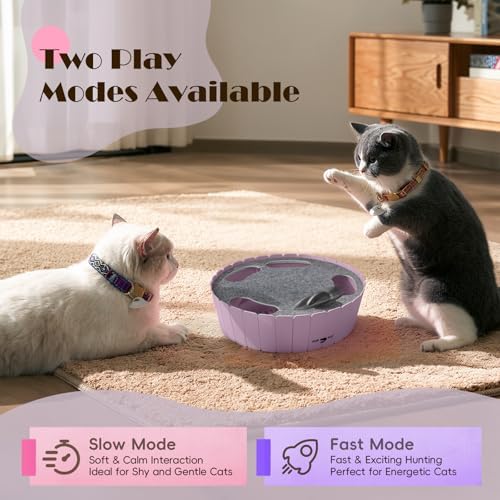 Pawaboo Interactive Cat Toy with Running Mouse, Automatic Track Kitten Toy | Electronic Motion Cat Toy for Indoor Cats, Pop and Play Hide Seek Cats Toys Hunting Mouse for Kitty Play Exercise, Purple