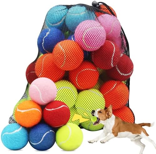 Swingers Squeaky Tennis Balls for Dog, 2.5 Inch Training Tennis Balls