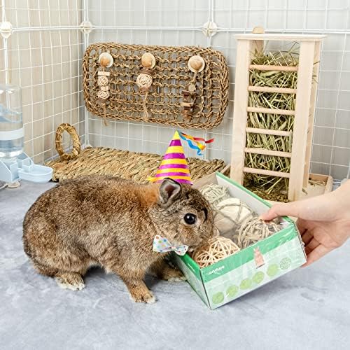 andwe Small Animals Play Activity Balls Rolling Chew Toys(Pack of 6)