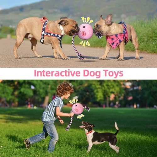 QDAN Dog Rope Dogs Toy: Dog Soccer Ball with Strap, Balls on Rope Plush Outdoor Birthday Toys for Small to Medium(for Medium Dogs, Pig)