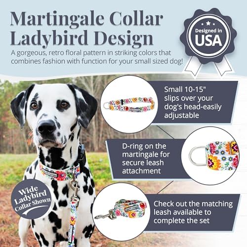 Lucky Love Dog Martingale Collar for Small Dogs No Slip – Ladybird, Small