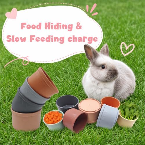 8 Pcs Stacking Cups for Small Pets, Colorful Bunny Toys with Hiding Food