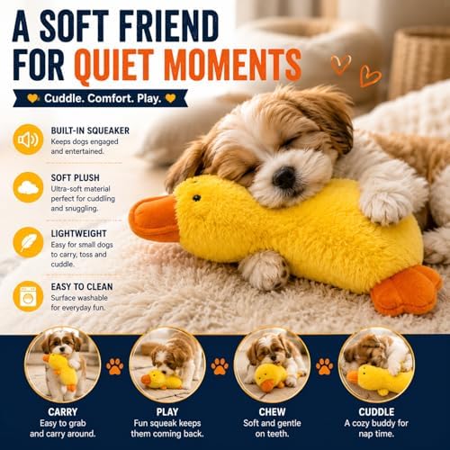 Dog Toys for Small Dogs, 5 Pack Interactive Dog Toy Bundle with Plush Duck, Squeaky Football Chew Toy, Rope Tug Toy and Waste Bags, Enrichment & Training Toys for Small BreedsRed