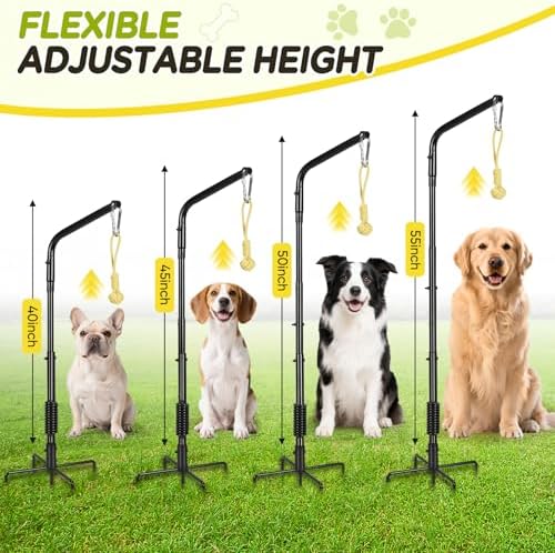 AugFir Tether Outdoor Dog Rope Toy with Strengthen Spring Pole, 3 Kinds Dog Tug of War Toys for Self Play and Interactive in Park, Yard, Lawn Rope, Suitable for Large Medium Small Dogs (Black)