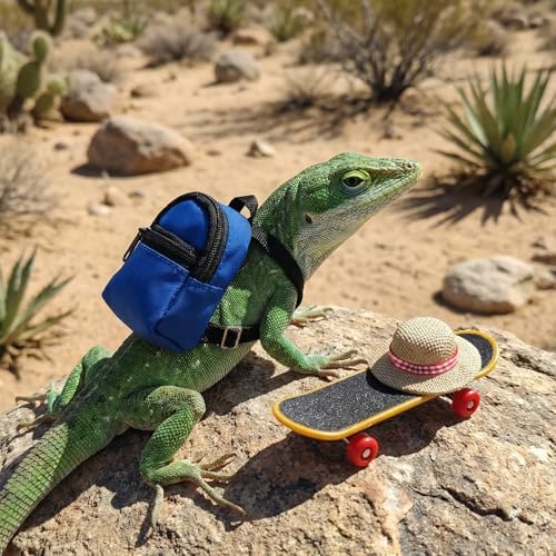 3 Pack Bearded Dragon Toy Set Includes a Bearded Dragon Backpack, an Adjustable hat, and a mini Skateboard Toy, for Small Reptile Pets Such as Lizards, Hamsters, Parrots, and Turtles.（Blue）