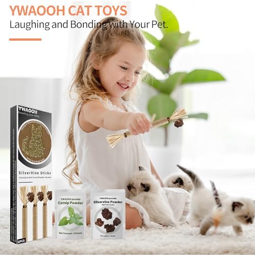 6 Silvervine Sticks Cat Toys with Catnip & Silvervine Powder Set
