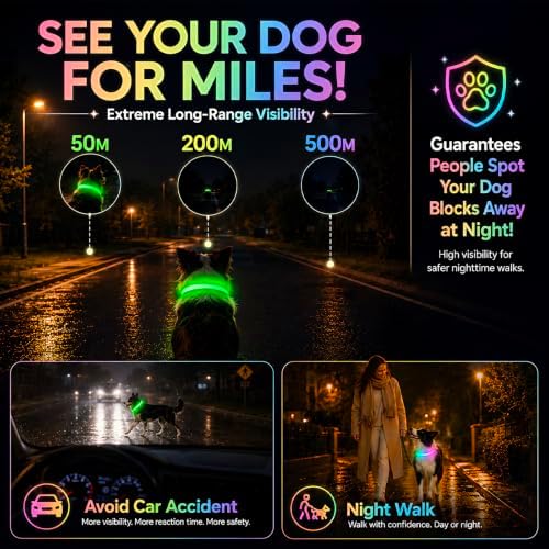 Multicolor LED Dog Collar USB-C Rechargeable, Light Up Dog Collar, Rainbow Gradient Glowing Dog Collar with 4 Light Modes, Adjustable Candy Mesh Pet Collar(Green, Small)