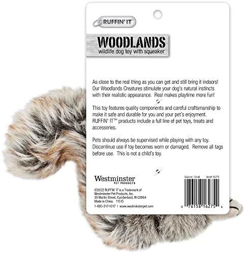 RUFFIN' IT Woodlands, Plush Squirrel, 6 in Squeaky Soft Stuffed, Dog Toy