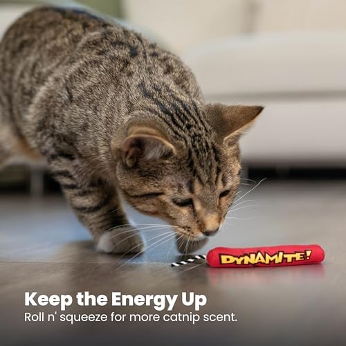 Catstages Green Magic Dynamite Kicker Cat Toy with 100% Catnip, 7"