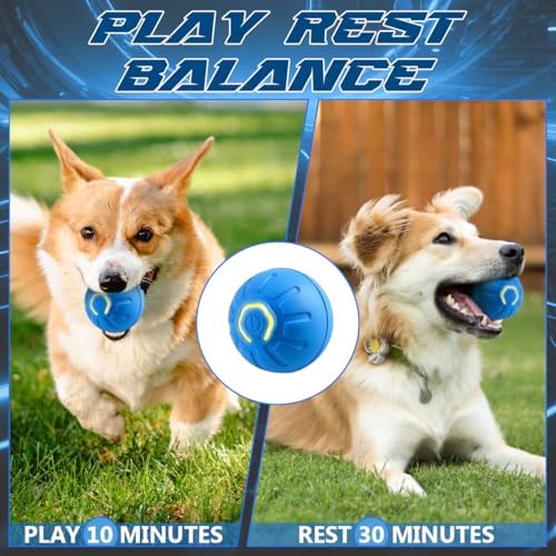 2 Pcs Shaky Ball Toy for Dogs,2025 New Shaky Dog Ball,Upgrad Interactive Dog Ball Automatic Moving Dog Toy Ball,USB Rechargeable Vibrating Dog Ball Remote Control Pet Ball for All Dogs(Orange+Blue)