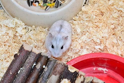 24PCS Hamster Chew Toys Set, Small Animal Teeth Grinding Molar Toys
