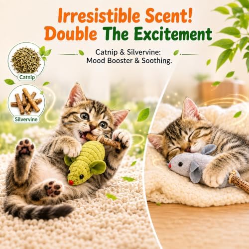 Cat Mouse Toy, 3-Piece Set of Catnip Mice, Interactive Cat Toy for Kittens