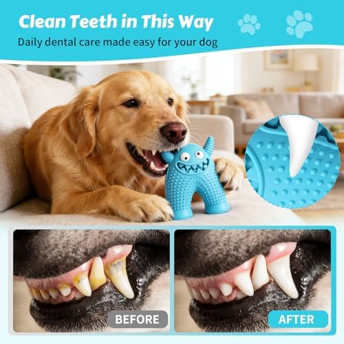 Dog Chew Toys Floating Squeaky Toy for Puppy