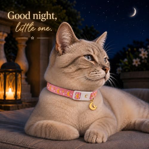 Breakaway Cat Collar with Bell for Kittens & Cats