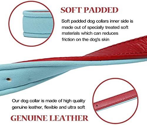 Leather Dog Collar for Small Medium Large Dogs Soft Waterproof Padded Puppy Collars