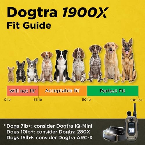 Dogtra 1900X Handsfree E-Collar for Dog Training - 3/4 Mile Range, for Dogs 45 lbs+, Waterproof, 100 Stimulation Levels, Vibration, Tone, Rechargeable - Hands-Free Remote for Dog Owners and Trainers
