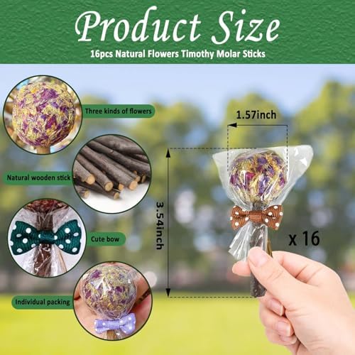 kathson 16PCS Rabbit Timothy Hay Treats Sticks,Interactive Bunny Lollipop Chew Sticks,Natural Guinea Pigs Chewing Treats Molar Teeth Toys for Small Animals,Chinchilla,Hamster,Gerbil