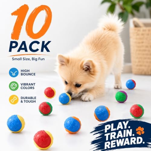 10-Pack Durable Dog Training Balls, Durable Chew Toys for Puppy and Small Breeds, Bouncy Interactive Fetch Toys for Garden Herding and Agility Play (Assorted Colours)