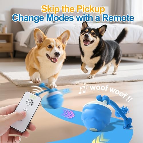 Interactive Dog Ball, Blue USB-C Rechargeable Rolling Toy