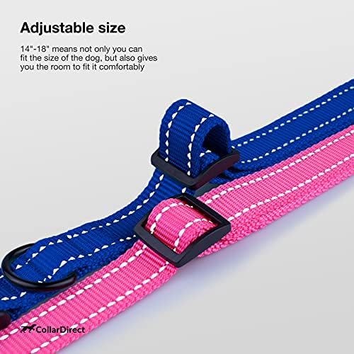 Reflective Dog Collar, Quick-Release Buckle (Blue, 14-18 Inch)