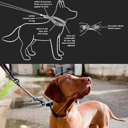 EzyDog Checkmate Martingale Collar for Dogs – Premium Nylon Training Dog Collar for Easy Control with no Choking (Small, Green Camo)