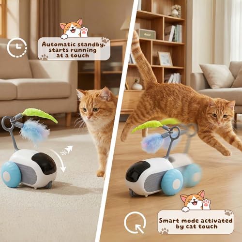 Interactive cat Toy, Rechargeable, Automatic Moving Kitten Toy(Blue)