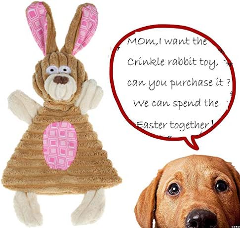 BoomBone Easter Dog Toys for Small Dogs 2 Pack, Carrot Dog Rope Toy and Bunny Crinkle Puppy Toy