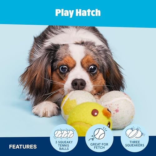 BarkBox Play Hatch Rubber Tennis Balls - for Dogs