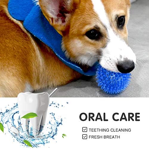 SHARLOVY Squeaky Balls for Pet Small Puppy, 6 Pack TPR Fetch Spike Balls