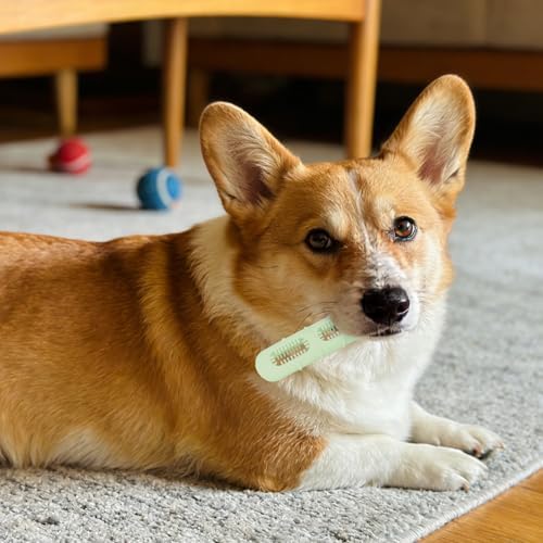 Sausage-Shaped Dog Chew Toy with Teeth Cleaning Bristles (Green)