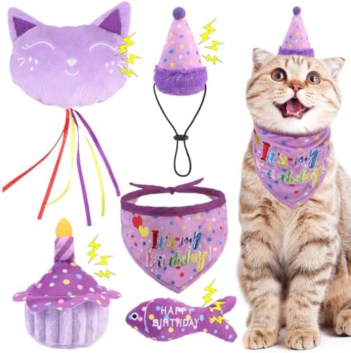 BINGPET Cat Birthday Decorations Outfit, 5 Pcs Catnip Toys for Indoor Cats