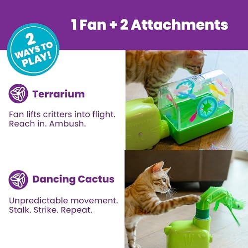 Catstages 2-in-1 Air Blaster Play Set Cat Toy, 2 Interchangeable Toys, Terrarium & Dancing Cactus, 1 Battery-Operated Fan