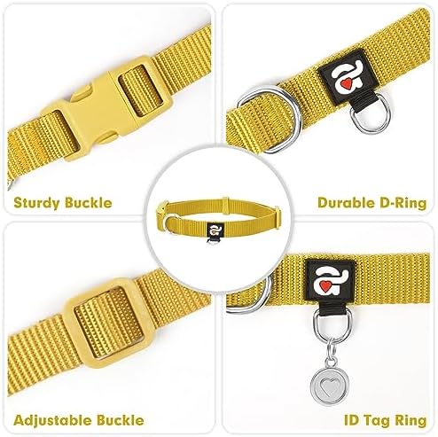 azuza Nylon Fall Dog Collar and Leash Set, Strong & Durable Basic Style Leash with Easy to Use Collar Hook, Available in Multiple Lengths for Puppy and Small Dogs, Ginger Yellow,XS