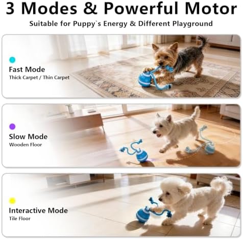 Interactive Dog Toys Ball, 3 Modes & Powerful Motor, Random Movement & Swinging Rope, Bird Chirping Stimulate, USB C Rechargeable for Small Medium Dogs for Boredom, Anxiety Relief