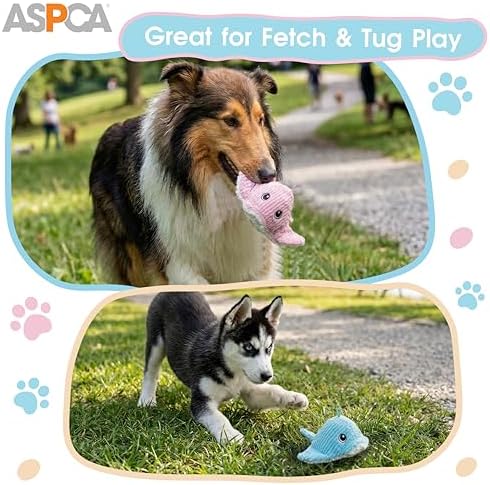 ASPCA 2 Pack Plush Dog Toy with Squeaker for Small & Medium Dogs, Soft Durable Stuffed Pet Toy for Fetch, Tug & Cuddle, Interactive, Lightweight, Engaging Play Toy for Dogs