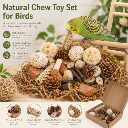 NOLITOY Natural Bird Toys for Conures: Parakeet Toys Parrot Foraging Wood Chewing Blocks & Hanging Bell Pendant Stick, Parrot Foraging Interactive Bundle for Macaw Small-Medium Birds