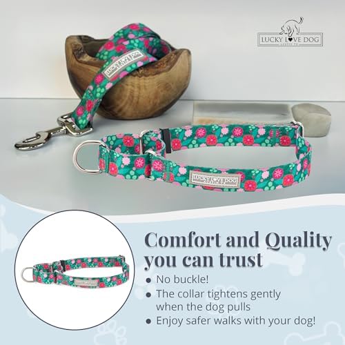 Lucky Love Dog Martingale Collar for Medium Dogs No Slip – Penny, Medium
