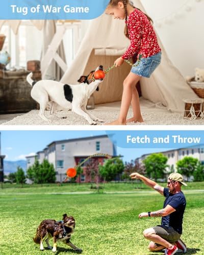 Harhana Rope Toys With Squeaky Ball - Tug of War Toy for Small, Medium Dogs - Durable Rubber, Interactive Fetch Toys for Boredom