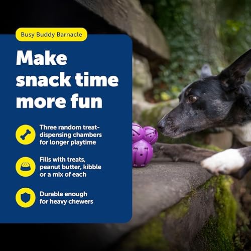 PetSafe Busy Buddy Barnacle Treat Dispensing Dog Toy, Medium | 3 Treat Meter Prongs Randomly Dispense Kibble, Bone-Shaped Grooves Hold Spreadable Treats Like Peanut Butter