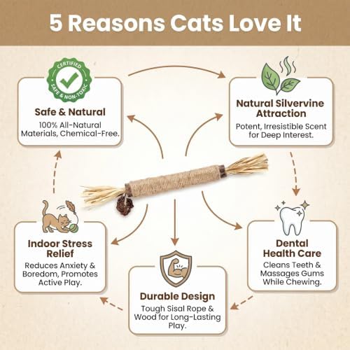 Shudyear 5 PCS Silvervine Sticks for Cats - Natural Cat Chew Toys for Teeth Cleaning, Kitten Teething & Aggressive Chewers