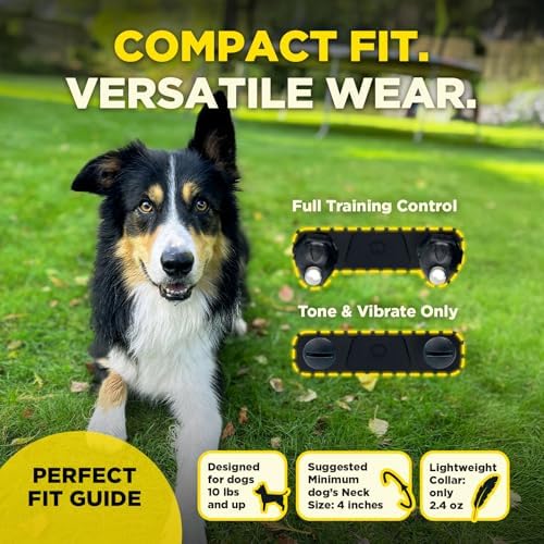 Dogtra 200iQ Remote Training E Collar – 100 Levels, Tone, Vibration, 1/2 Mile Range – Compact, Waterproof, One-Handed Control for Dogs 10 lbs+ – Lightweight Daily Training – Slip Resistant Lavender