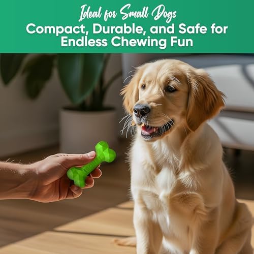 Natural Rubber Dog Toys for Small Dogs & Puppies - Durable Dental Dog Bone Toy for Indoor & Outdoor Play - Interactive Tough Teething Toy for Boredom Relief - For 25 lbs Small Dogs (Green)