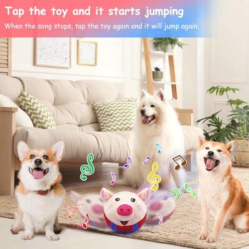 Dog Toys Ball, Interactive Dog Toys for Small Medium Large Dog