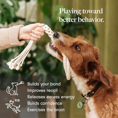 LAY LO Natural Cotton Dog Rope Toy for Small & Medium Dogs, Non-Toxic Rope Toy, 2-Pack Puppy Teething Toy, Durable Boho Dog Toys with Handle