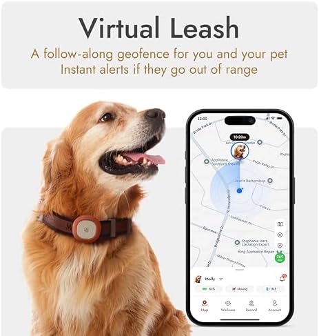 Molly&Cody GPS + Bluetooth Pet Tracker for Cats & Dogs – Real‑Time Tracking, Virtual Fence, IP67 Waterproof, Up to 60‑Day Battery, Health Monitoring, iOS/Android – Subscription Required (Gold)