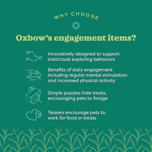 Oxbow Play Wall, Rabbit & Guinea Pig Toys, Guinea Pig Accessories, Small