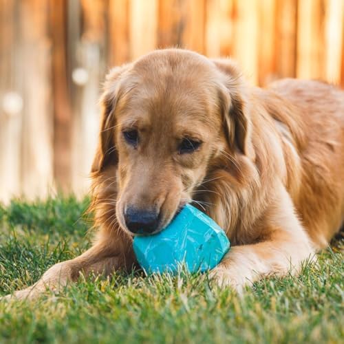 Ruffwear, Gnawt-a-Rock, Interactive Dog Toy, Salamander Orange