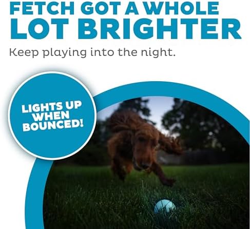 Outward Hound by Planet Dog Strobe Light Up LED Ball Dog Toy, Blue